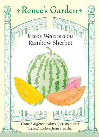 Rainbow Sherbet Trio Watermelon - Image 2