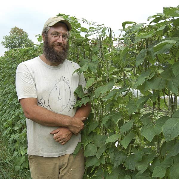 Rattlesnake Pole Bean - Image 2