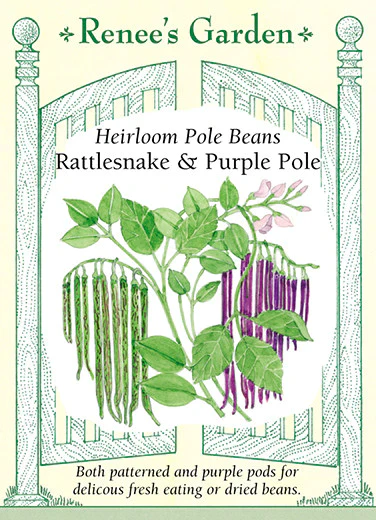 Rattlesnake & Purple Pole Bean - Image 2