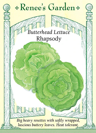Rhapsody Butterhead Lettuce - Image 2