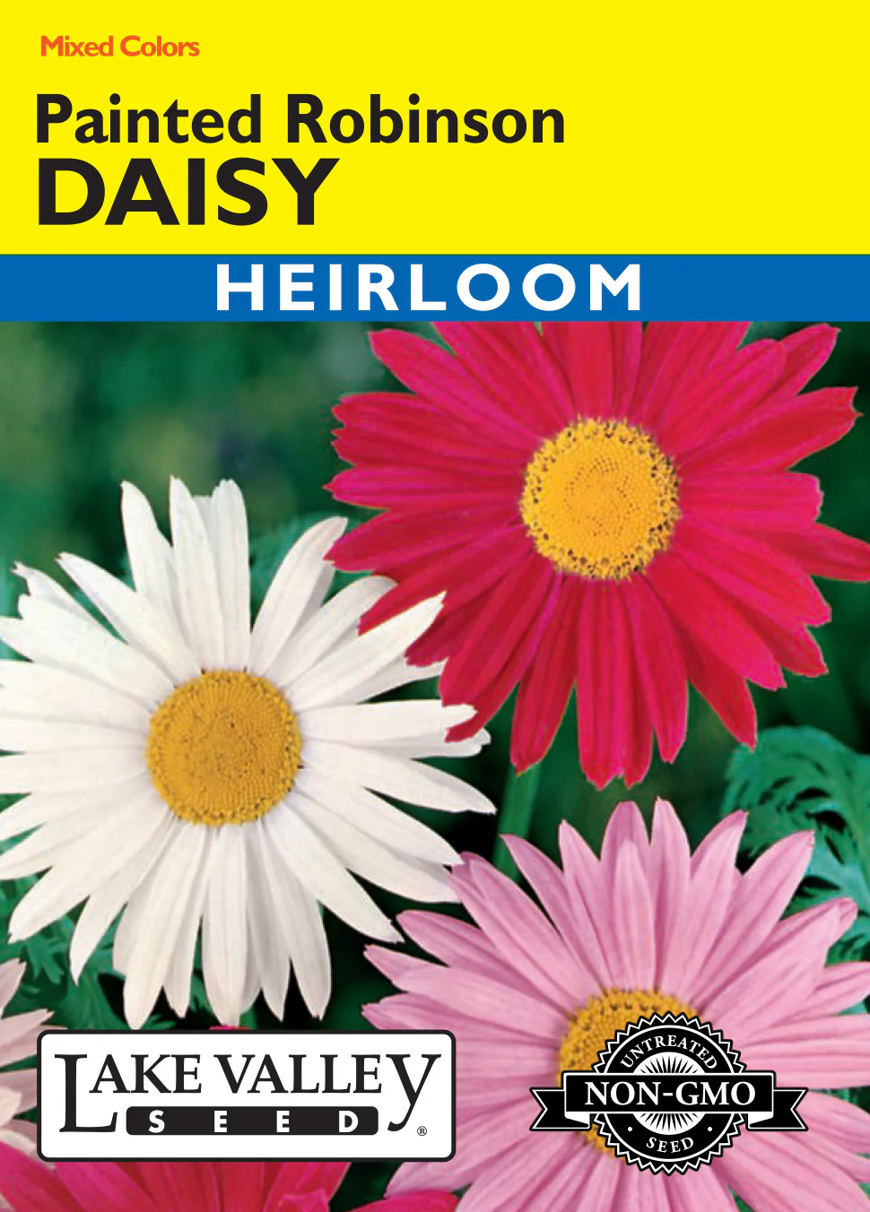Painted Robinson's Daisy