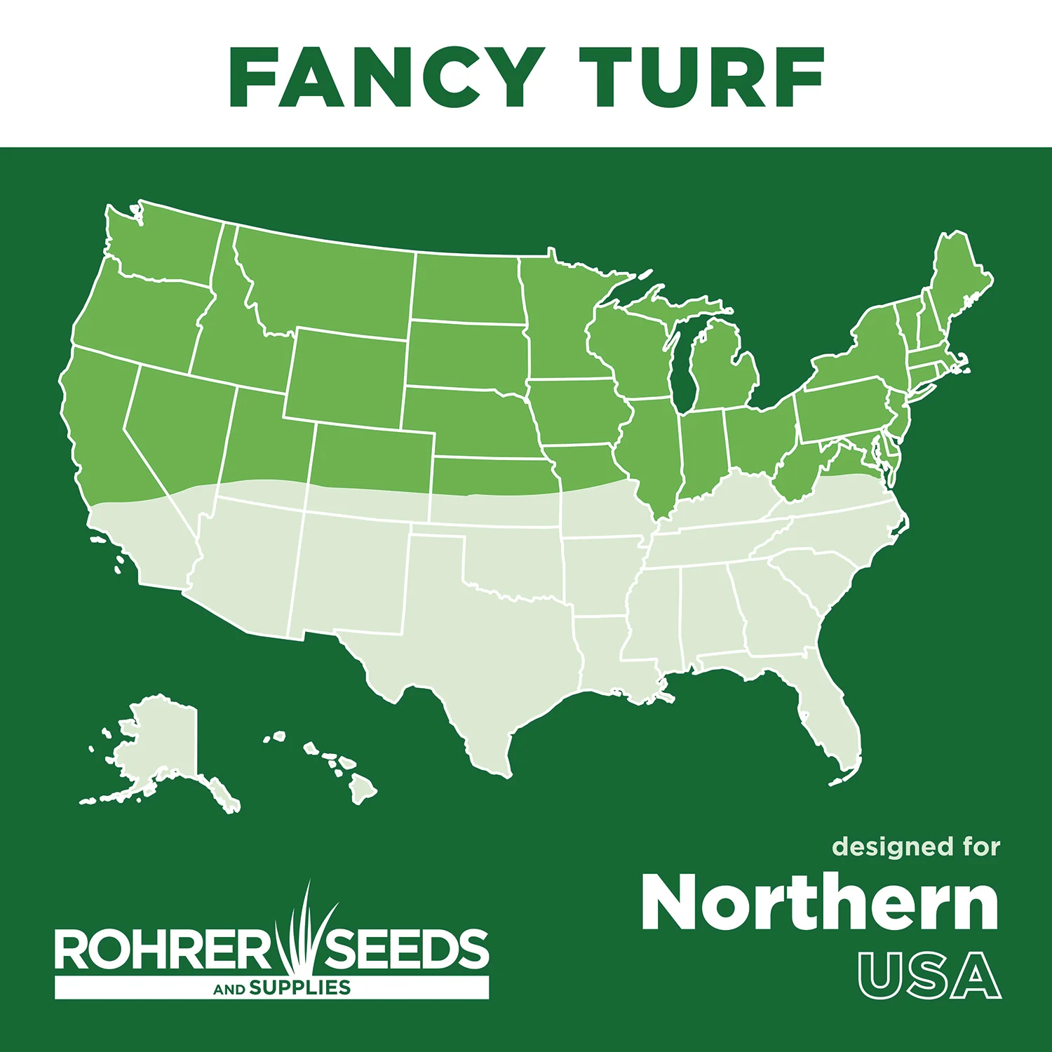 Fancy Turf Grass Seed Mix - Image 4