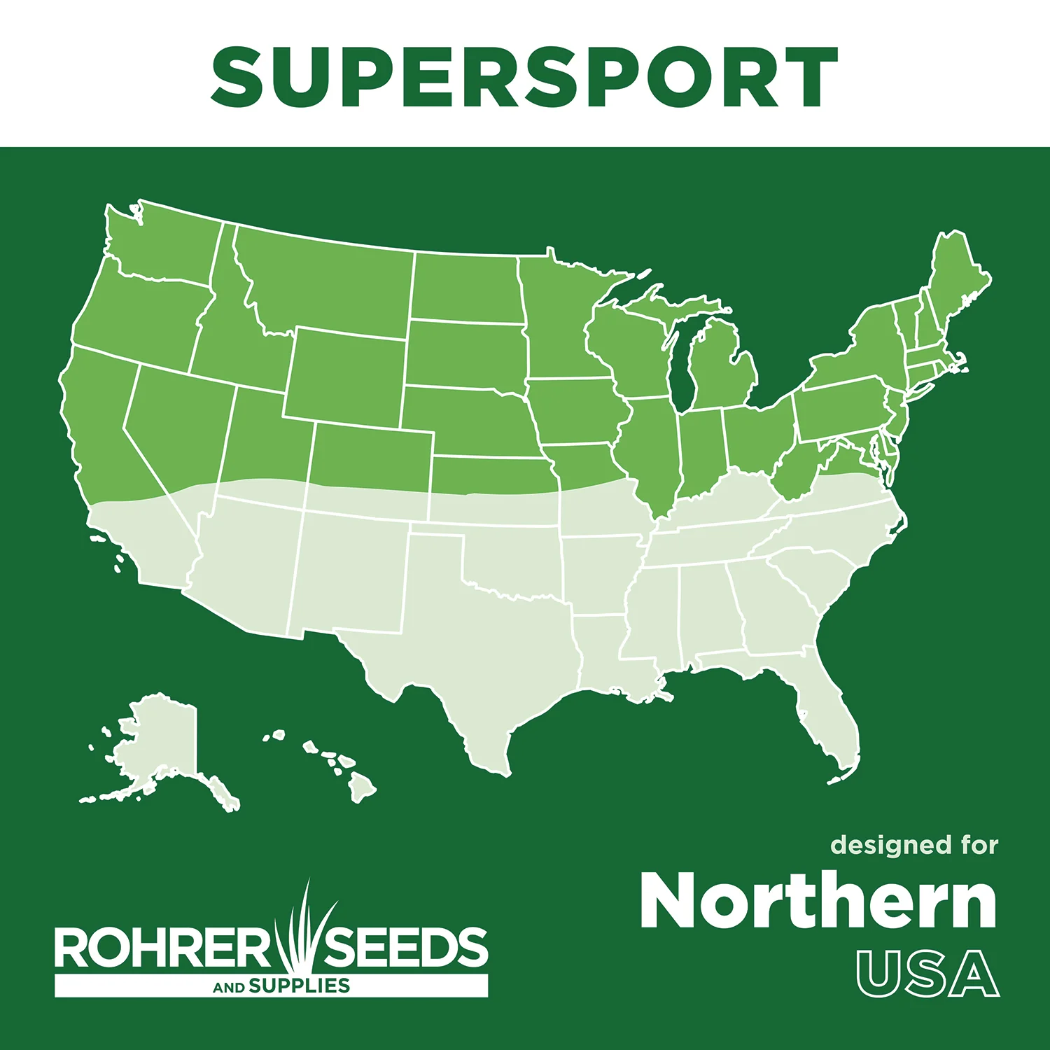 Supersport Grass Seed Mix - Image 4