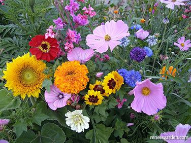Endless Bouquets Scatter Can