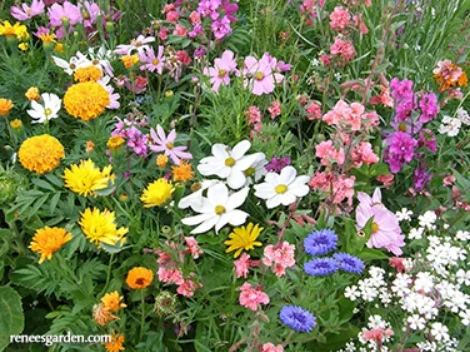 Endless Bouquets Scatter Can - Image 2