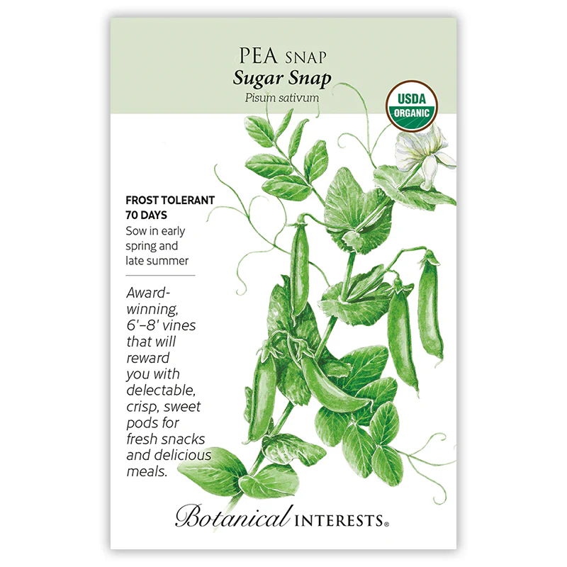 Sugar Snap Snap Pea (Value Pack)