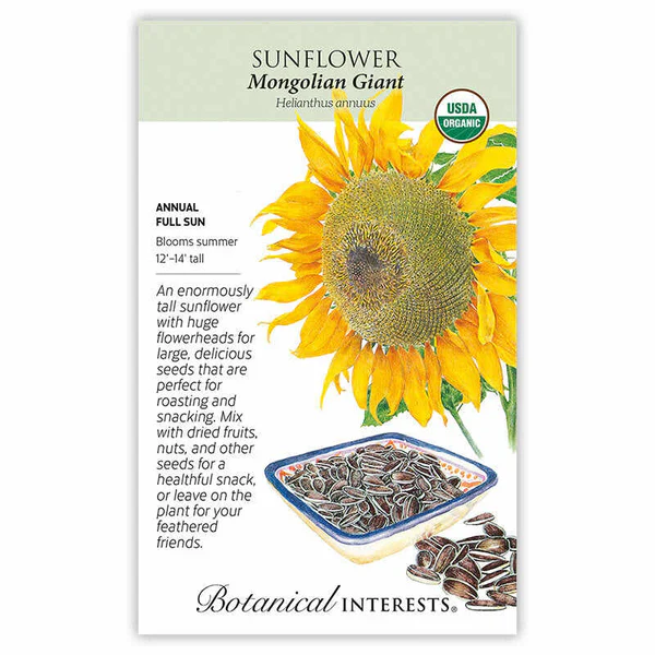 Sunflower Mongolian Giant