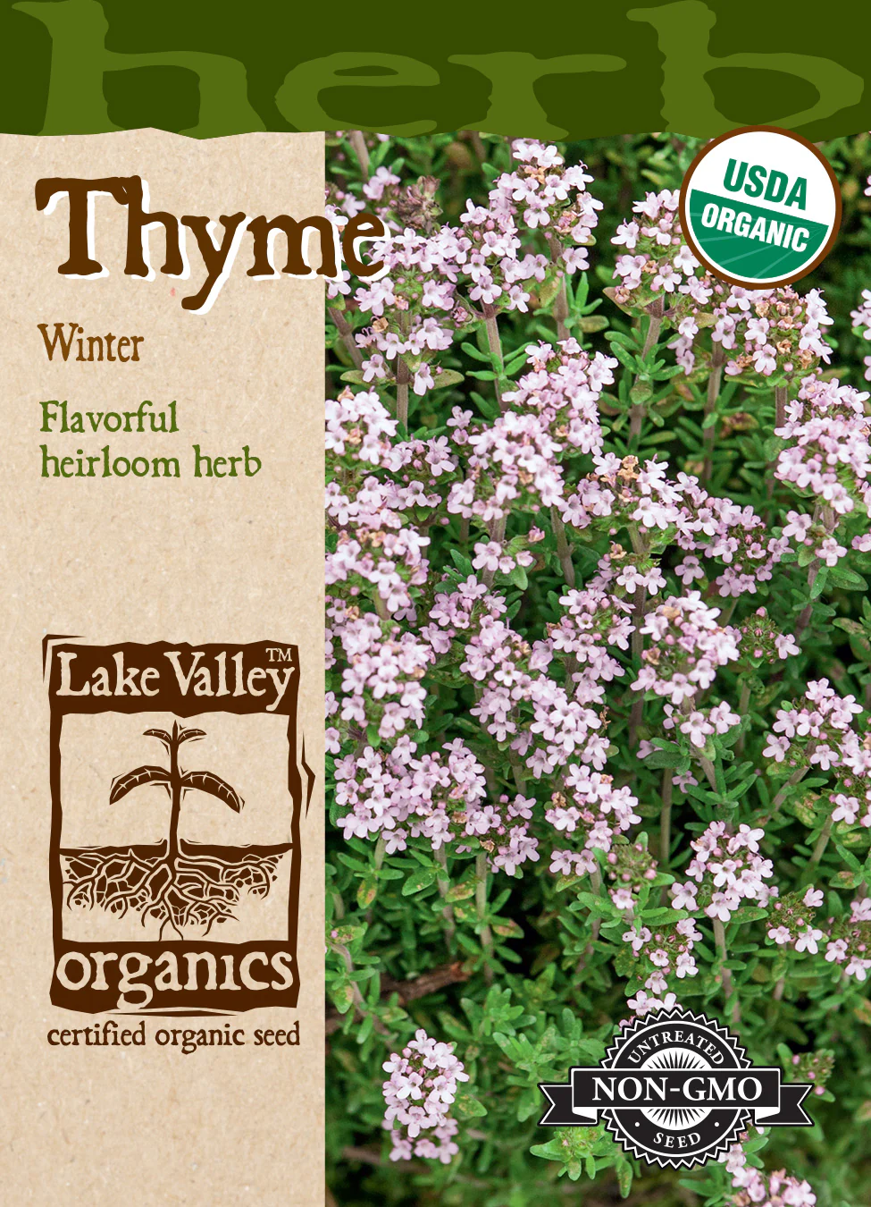 Organic Winter Thyme