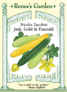 Tricolor Zucchini - Image 2