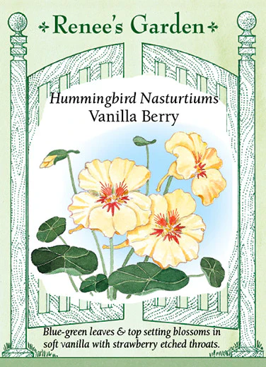 Vanilla Berry Nasturtium - Image 2