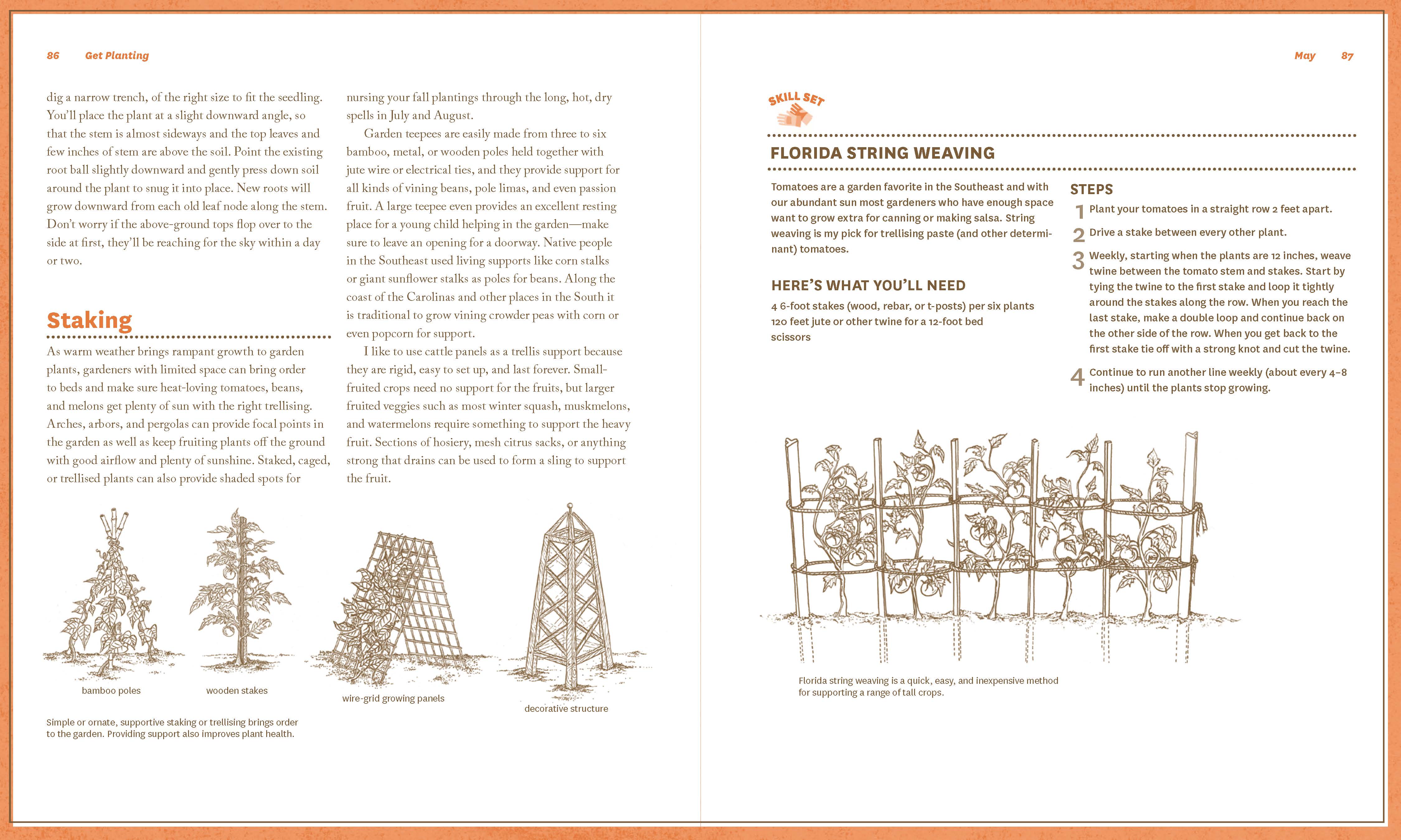 Vegetable Gardening in the Southeast - Image 3
