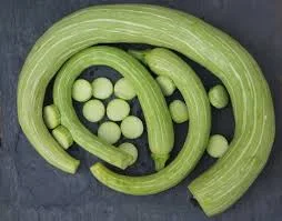 Zucchetta Rampicanta Squash